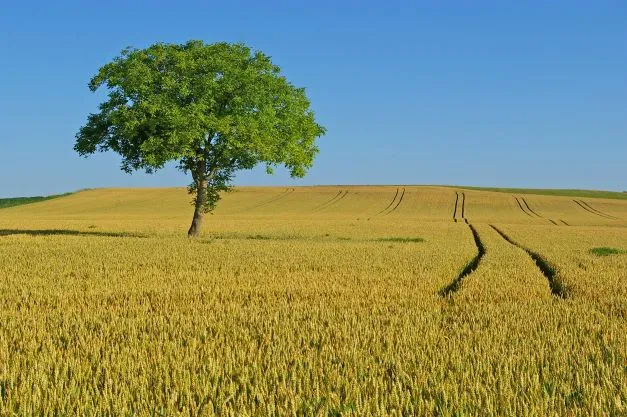 El significado del número 4